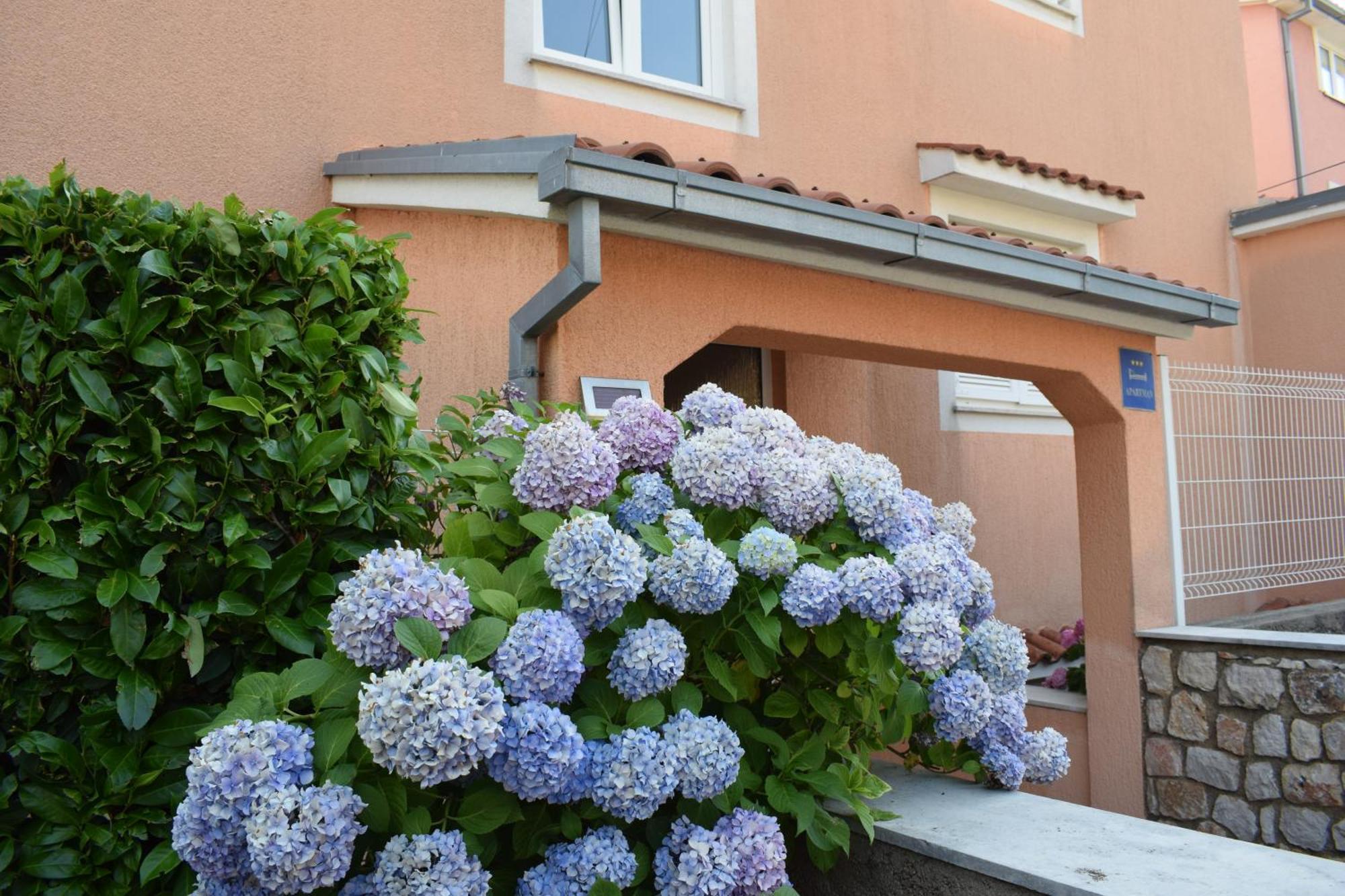 Lavanda Apartment *